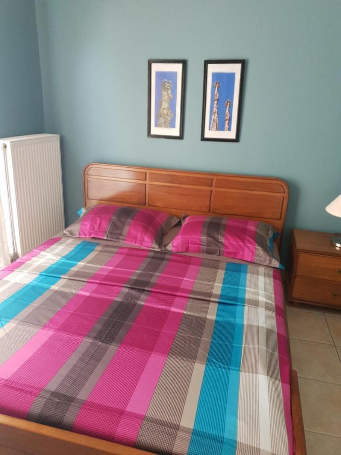 Comfortable Apartment In The Center Of Volos Very Close To The Port Esterno foto